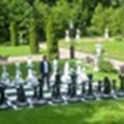 Шахматы гигантские король 155см