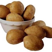 Овощи:картофель Винница, продажа фото