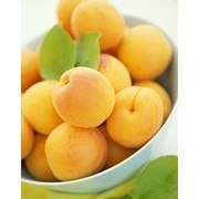 Соки абрикосовые фото