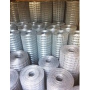 Сетка сварная 50*50*1,6 мм оцинкованная в рулоне 150*50000 мм фото