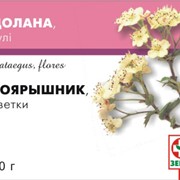 Фито-чай Боярышник фото