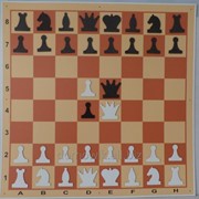 Настенные магнитные шахматы фотография