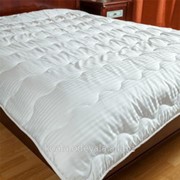 Одеяло Магнолия Зимнее (200х220 см)Bilana фотография