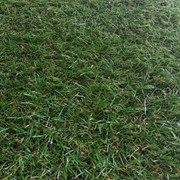 Искусственная трава для газона 25 мм с подшерстком на отрез (Нидерланды)