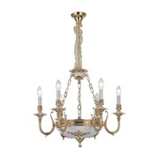 Подвесная люстра Arte Lamp A5966LM-6WG фото