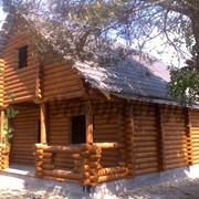 Дома срубы деревянные фотография