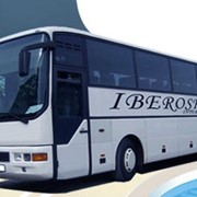 Международные регулярные автобусные пассажирские перевозки фотография