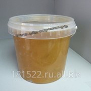 Мёд гречишный 1,4кг. фото