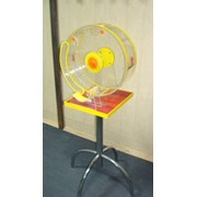 Аренда лототрона фото