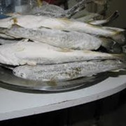 Поставки рыбной продукции Дальневосточного региона России : навага