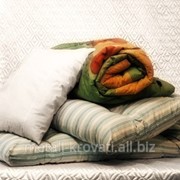 Постельный набор ЭКОНОМ-1, матрас+одеяло+подушка фотография
