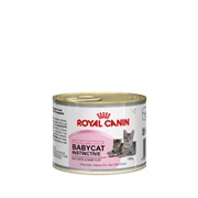 Babycat Instinctive Royal Canin корм для котят, до 4 месяцев, Банка, 0,195кг фотография