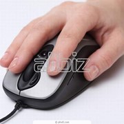 Манипуляторы мышь фото