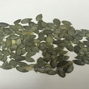 Ядро семечки тыквы. Сорт Голосемянная. фото