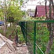 Забор для дачи из сетки гиттер (сварной забор) 550 за м.п. фото