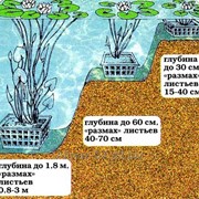 Корзина для водных растений AguantidaR 240*240*210 фото