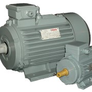 Электродвигатели переменного тока общепромышленные АИР 100 L6 -2,2 кВт. 1000 об/мин. фото
