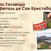 Галапагос Сан Кристобаль фотография