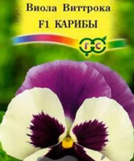Виола карибы