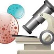Получение санитарно-эпидемиологического заключения фото