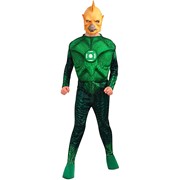 Карнавальный костюм для детей Rubie's Томар-Ре делюкс (Зеленый фонарь) детский, L (8-10 лет) фото
