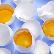 Яйца куриные купить Украина оптом фотография