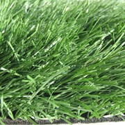 Искусственная трава GG-N3-50 фотография