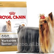 Сухой корм для собак Royal Canin Yorkshire Terrier 28 Adult 0,5 кг фото