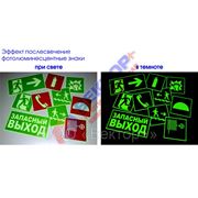 Эвакуационные знаки фотолюминесцентные на пластике 100х100мм фото