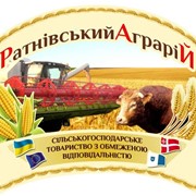 Зважування автовантажів фото