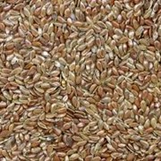 Культуры зерновые: просо, пшеница, зерно продажа