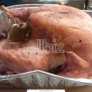 Мясо индейки фото