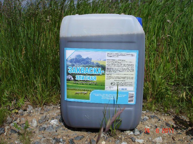 Закваска для сенажа. Силосные закваски. Закваска для силоса. Жидкие консерванты для сена. Биотроф 600.