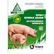 Комбикорма для свинейКомбикорма для животных Концентраты БМВД для свиней — «ПРОСТО ДОБАВЬ ЗЕРНА!»купить у производителя в Росии