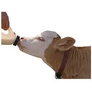 Премиксы для лактирующие коровы фото