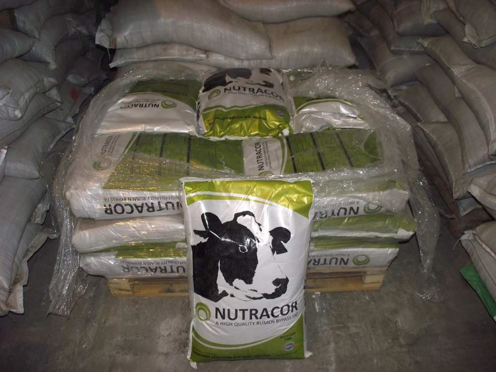 крс жир. пальмовый жир для крс. крс жир. кормовой жир для крс. внутренний жир говяжий.