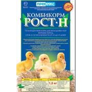 Комбикорм ''Рост-Н'' для цыплят яйценоских породутят гусят