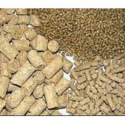 Кормовые добавки для повышения усвояимости питательных веществ фото