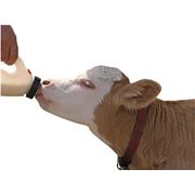 Добавка для коров комплексная высокоэнергетическая Нэолак фото