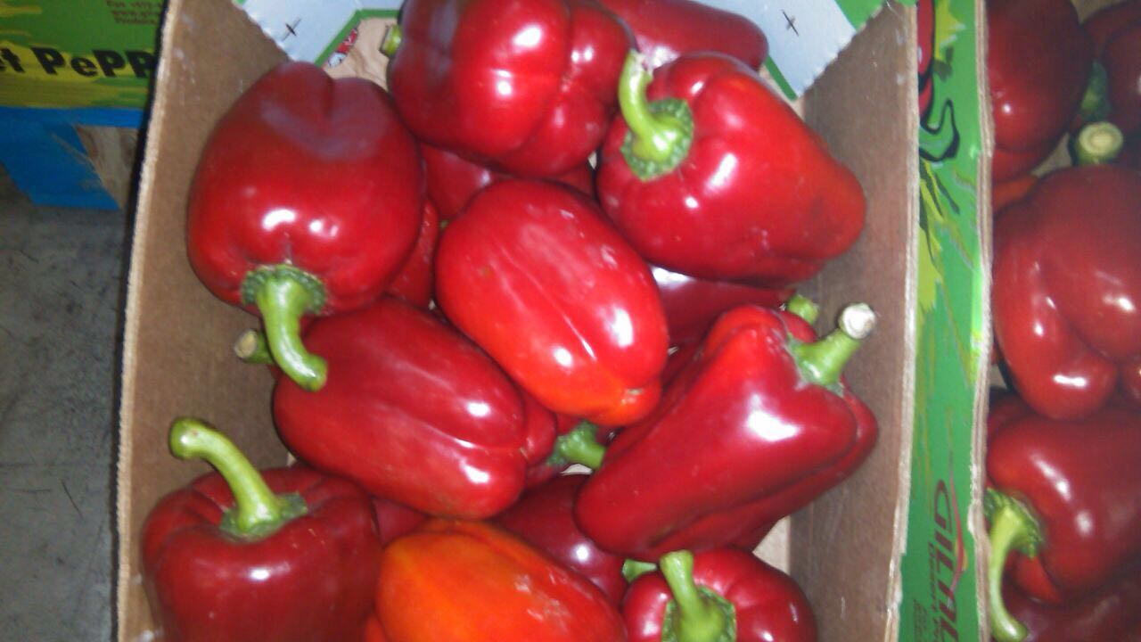 перец сладкий сорт адиге. перцев краснодарский край. перец острый апачи. перцев краснодарский край. перец краснодарский сорт.