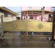 Ворота металлические с коваными элементами фото