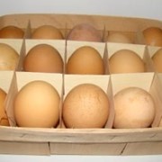 Тара для яиц из шпона (15 отделений) фото
