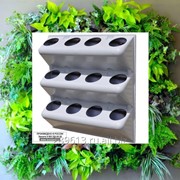 Фитомодуль 60х60 см для вертикального озеленения BOXSAND-12 фото