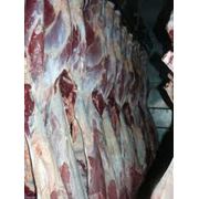 Реализация бычков на мясо фото