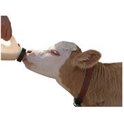 Белково-витаминно-минеральный концентрат для коров Кауфит 20 фото