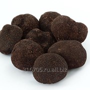 Cheap Quality Fresh Black Truffle and white truffle for sale