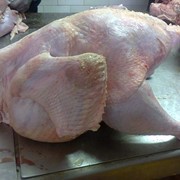 Мясо птицы охлажденное, мясо индейки, целые тушки, субпродукты из индейки, Днепропетровск фотография