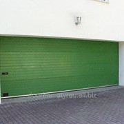 Ворота RSD01 зеленые фото