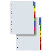 Quantus Разделитель А4 из картона Люкс с ламинированными цветными табуляторами, 10 разделов Белый фото