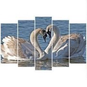 Пятипанельная модульная картина 80 х 140 см Два лебедя на воде фотография